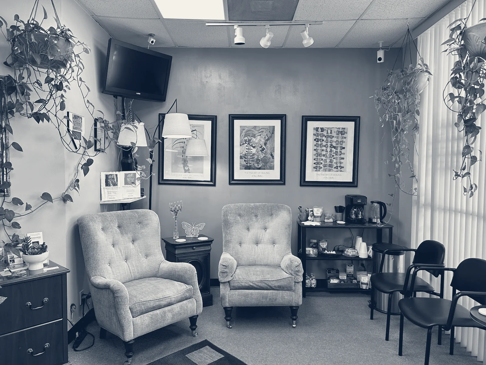 Monarch Skin LLC — Margate, Florida