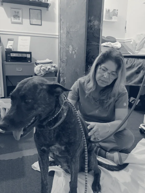 Lymphatic Massage of Florida — Davie, Florida