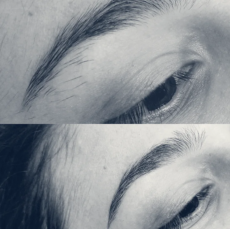 Gentle Waxing LLC — Plantation, Florida