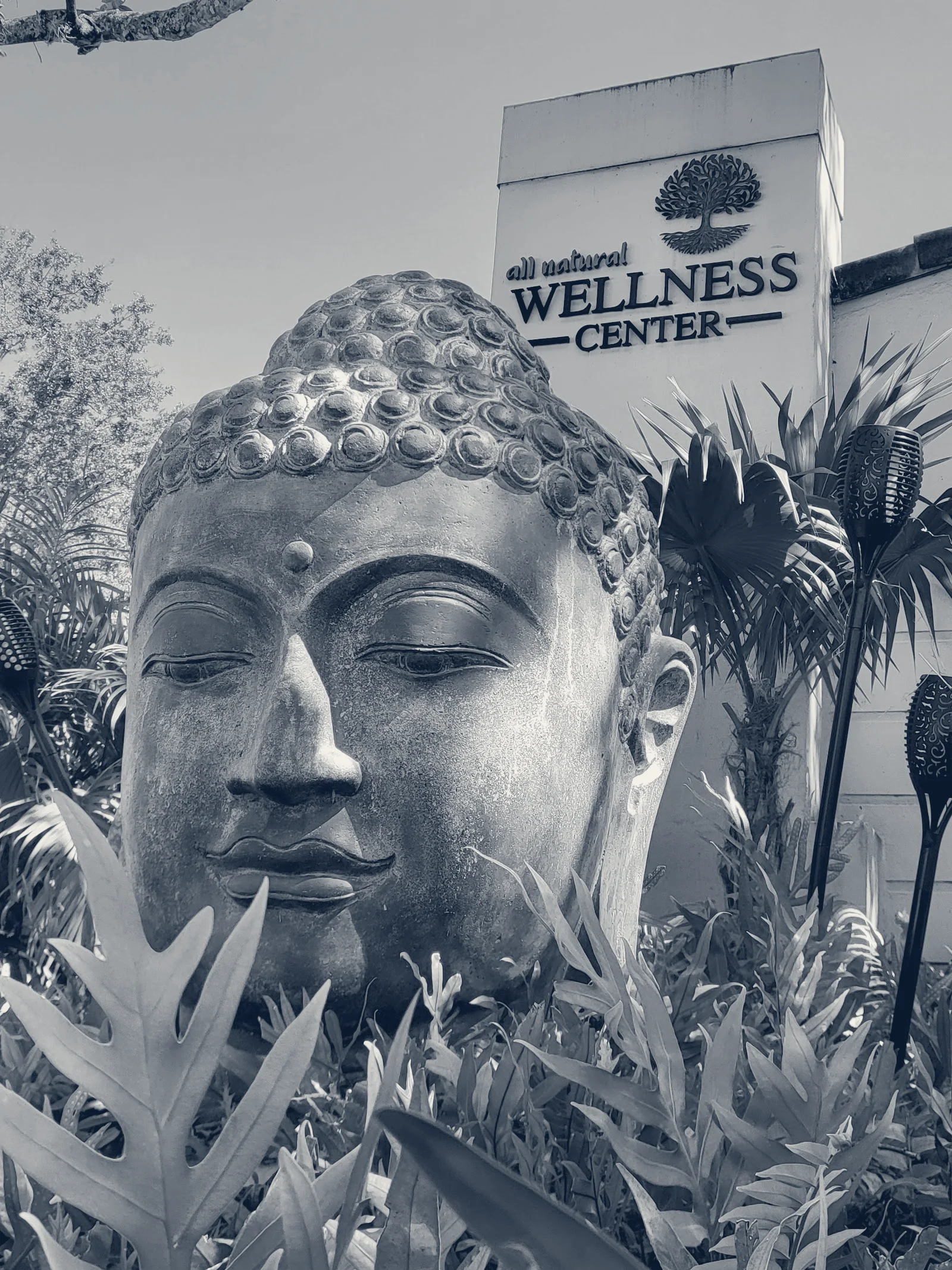 All Natural Wellness Center — Fort Lauderdale, Florida