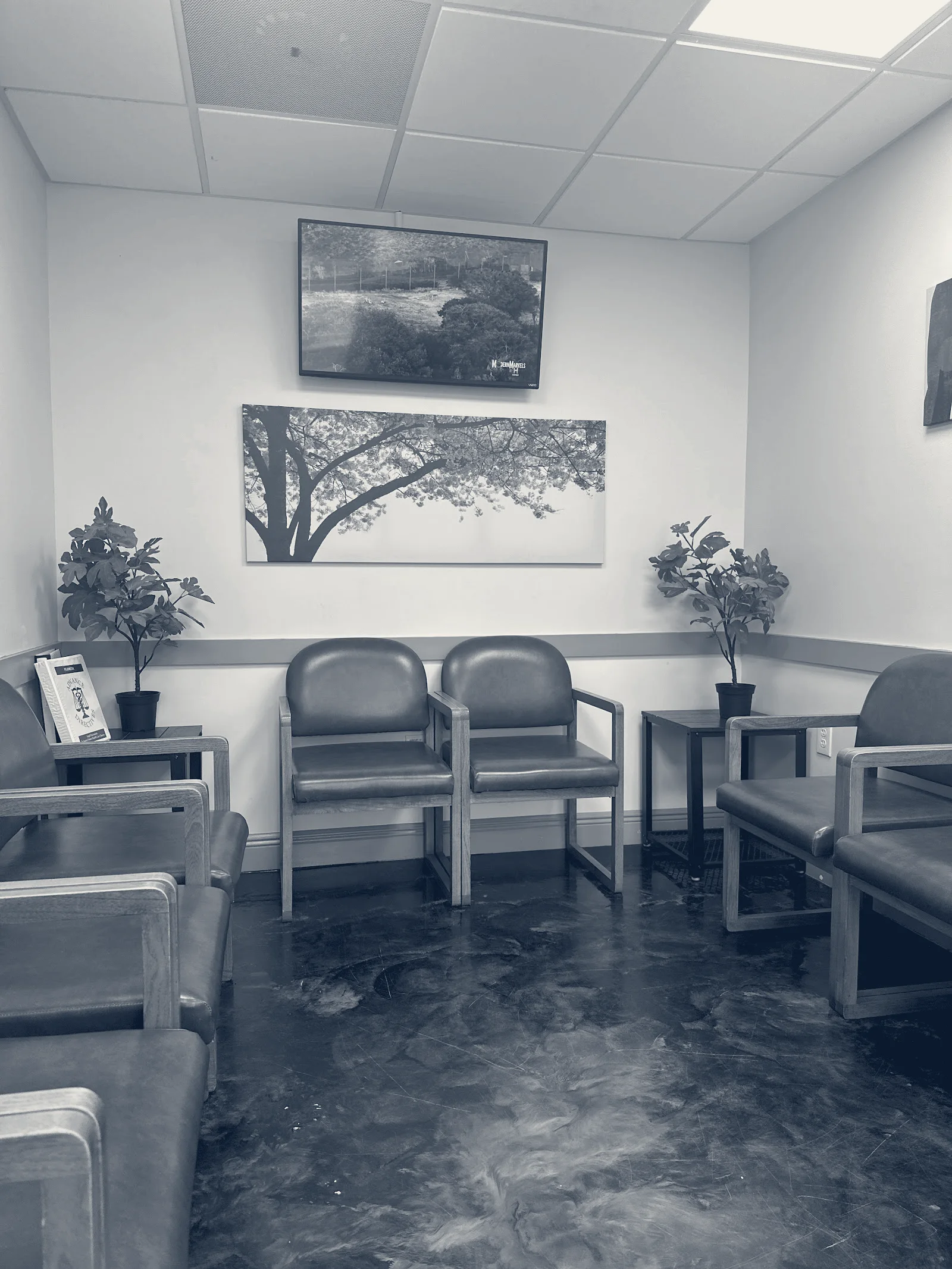 STETHO MD Primary Care & Walk in Clinic - Tampa — Tampa, Florida