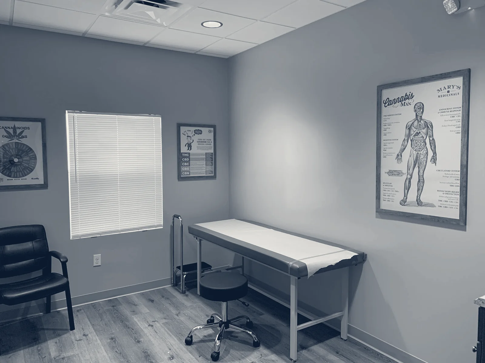 Choice Med Group — Wesley Chapel, Florida