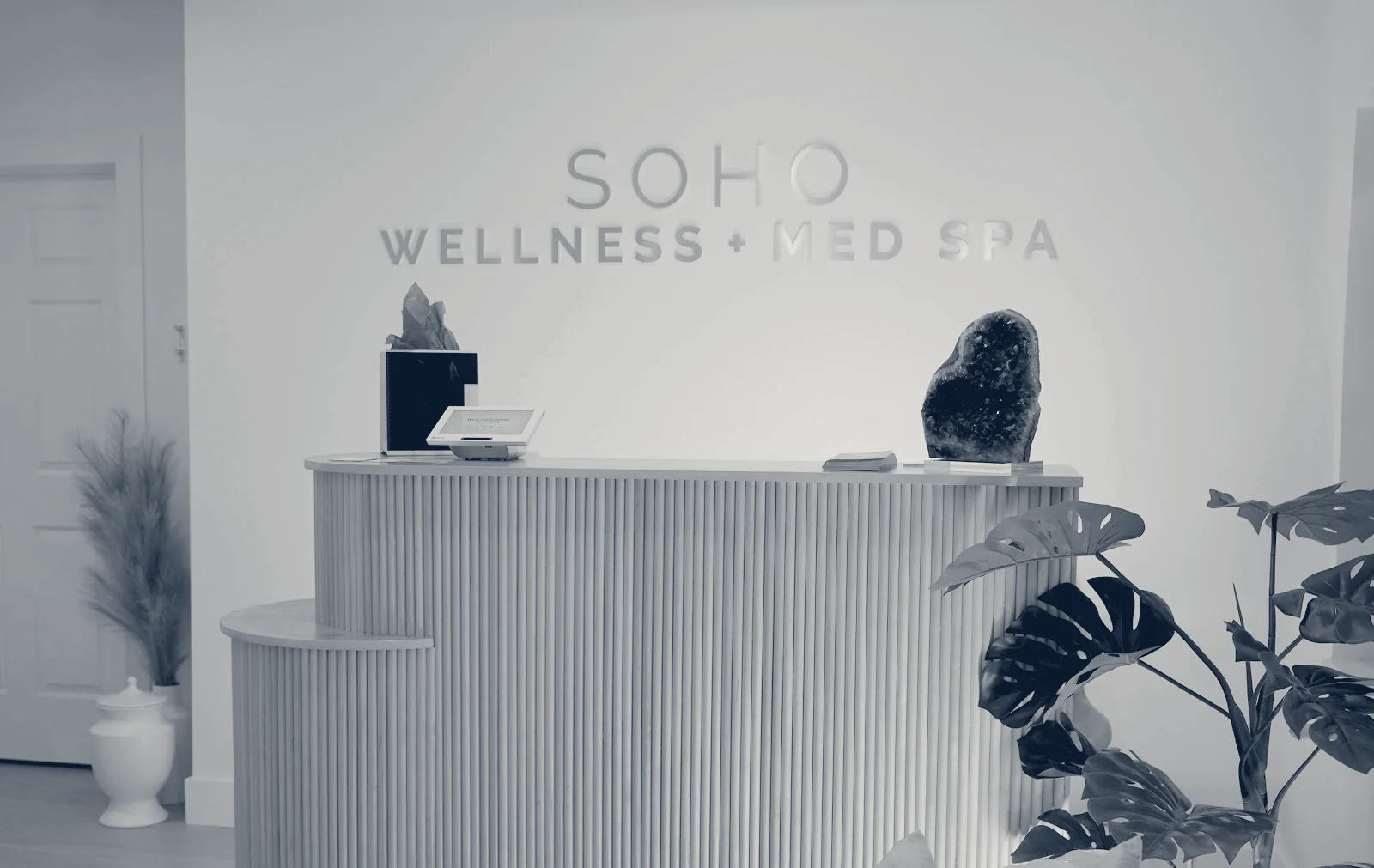 SOHO Wellness & Med Spa | Wesley Chapel — Wesley Chapel, Florida