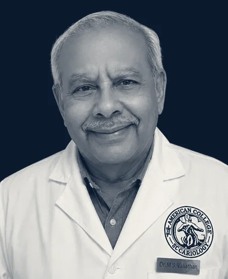 All Pediatrics & Family Care — Land O' Lakes, Florida