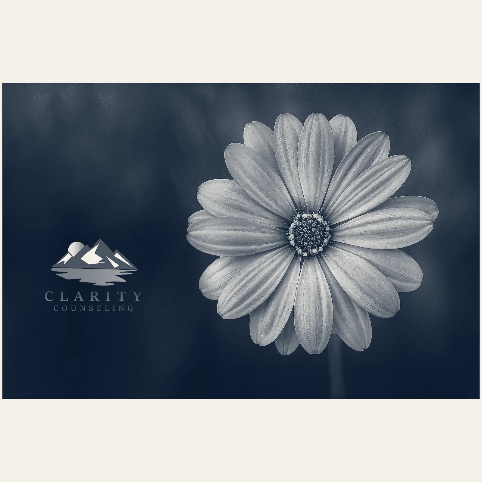 Clarity Counseling — Wesley Chapel, Florida