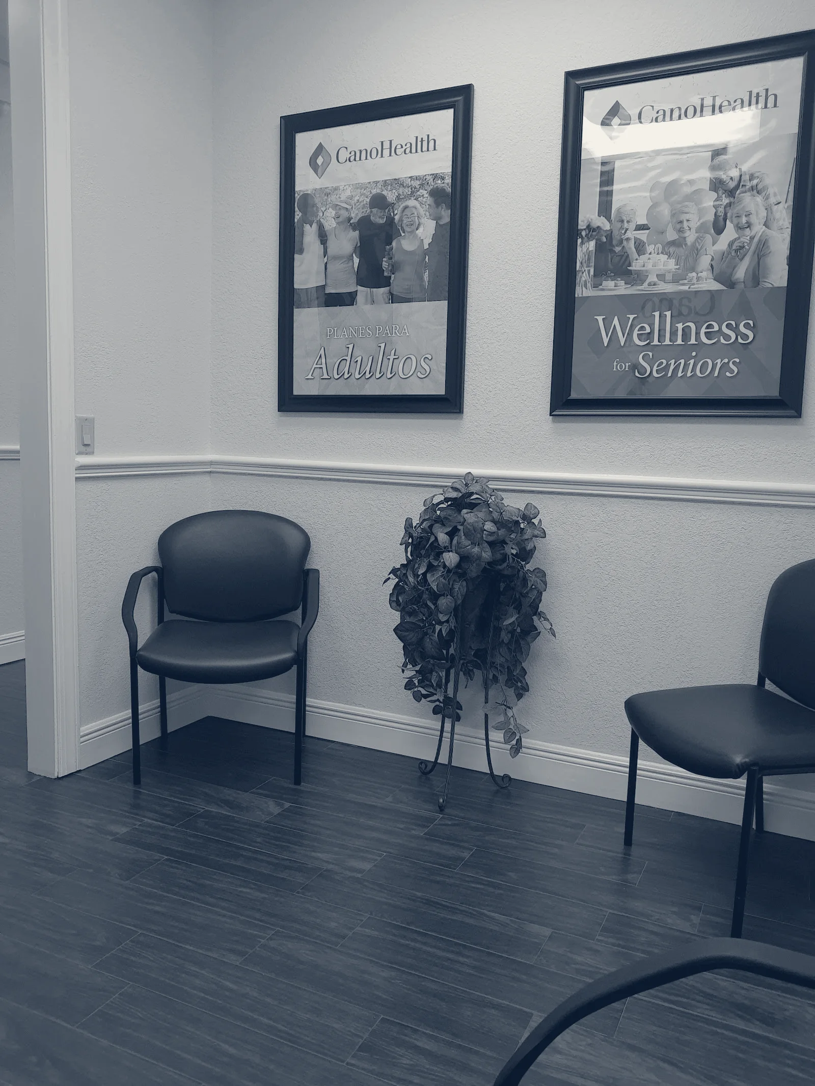 Dr.Camejo's Primary Care Tampa — Tampa, Florida