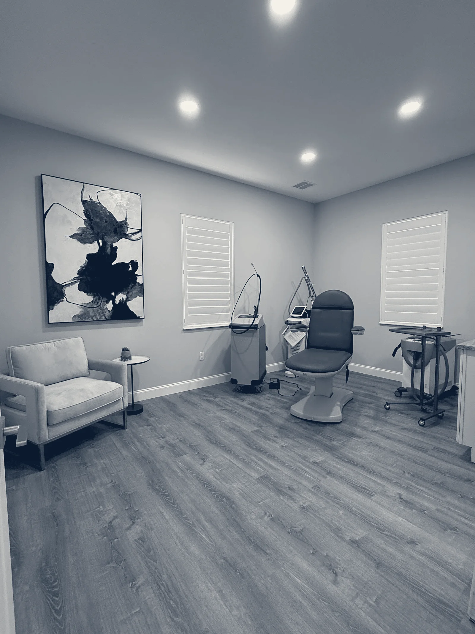 Mynt Aesthetics — Land O' Lakes, Florida