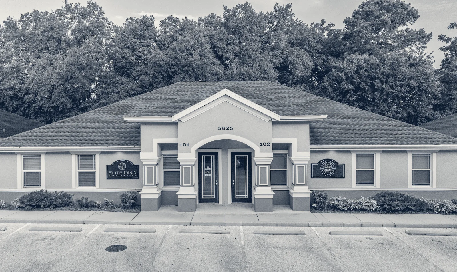 Elite DNA Behavioral Health Therapy & Psychiatry Clinic - Wesley Chapel — Wesley Chapel, Florida