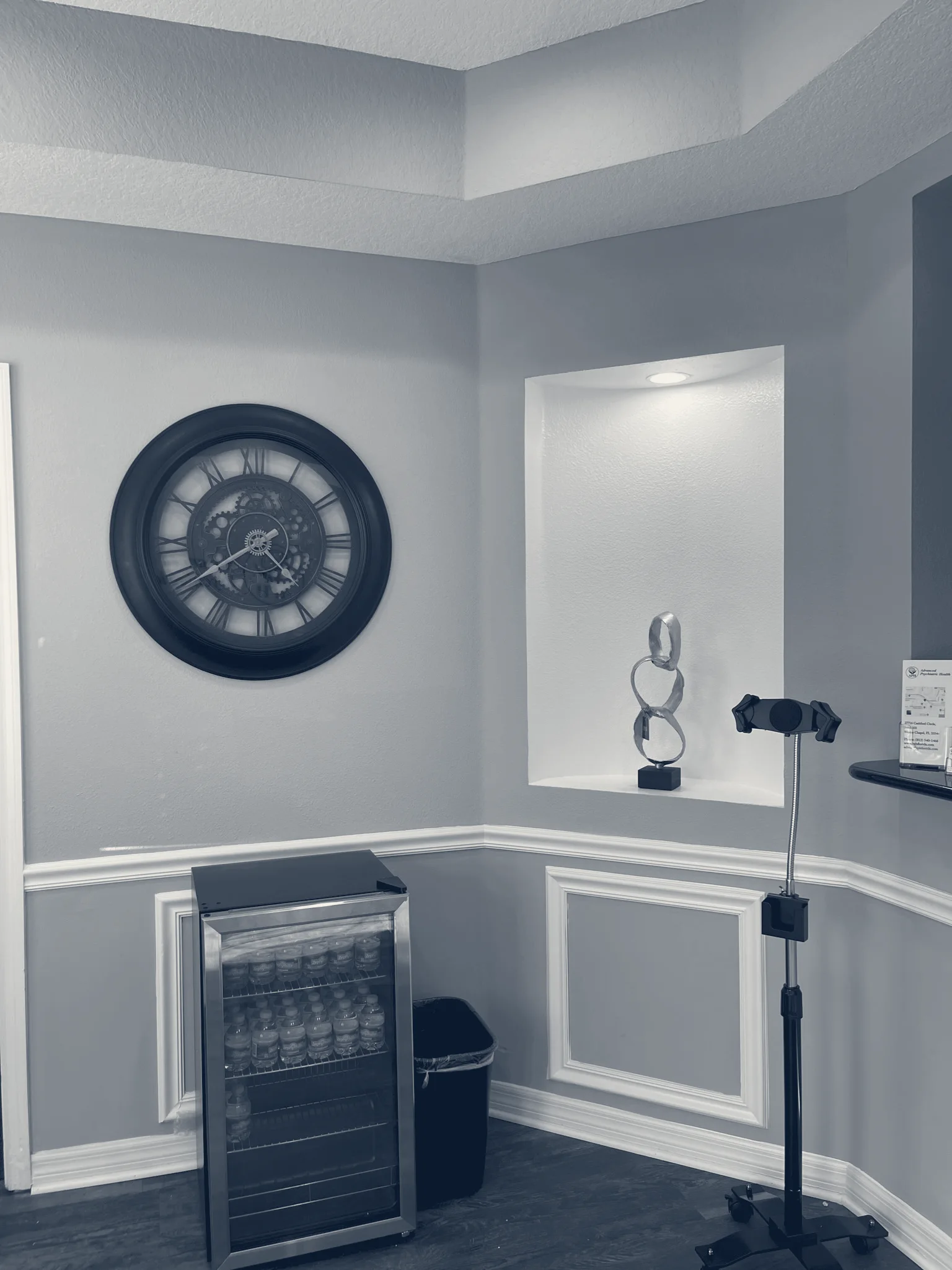 Advanced Psychiatric Health — Wesley Chapel, Florida