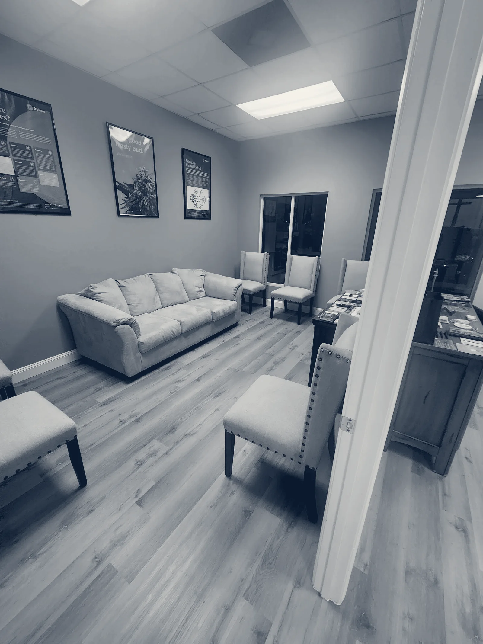 Dr. Cannabis Compassionate Clinic (Lutz) — Lutz, Florida
