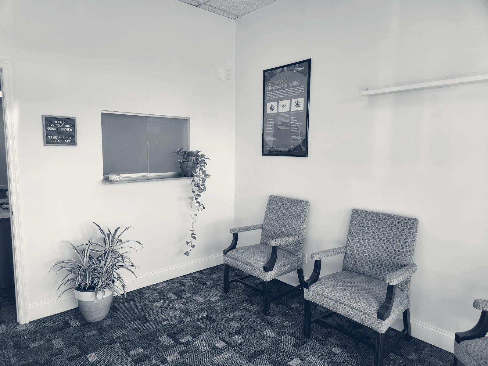 Marijuana Doc — Lutz, Florida
