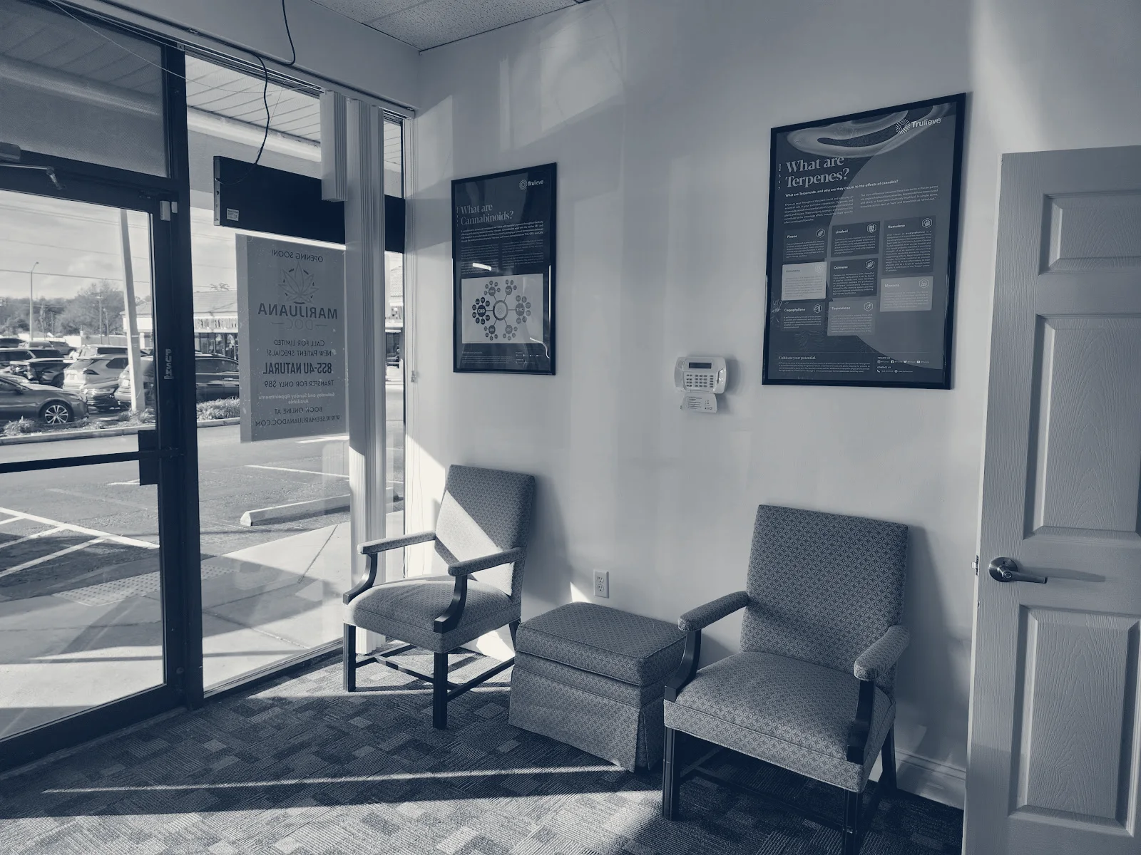 Marijuana Doc — Lutz, Florida
