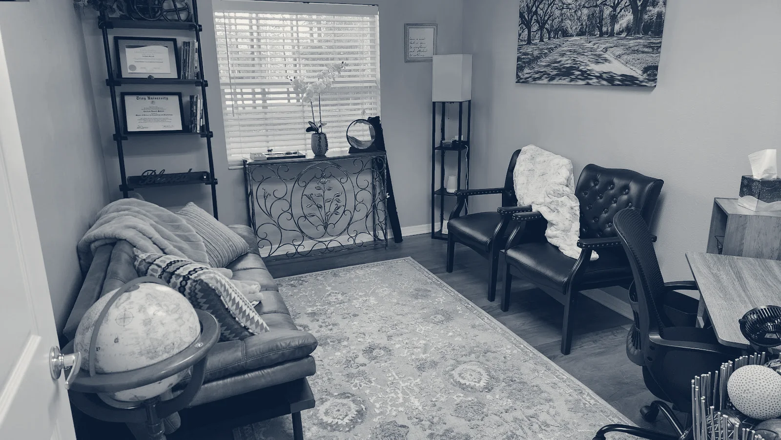 Tabula Rasa Counseling Services, LLC. — Lutz, Florida