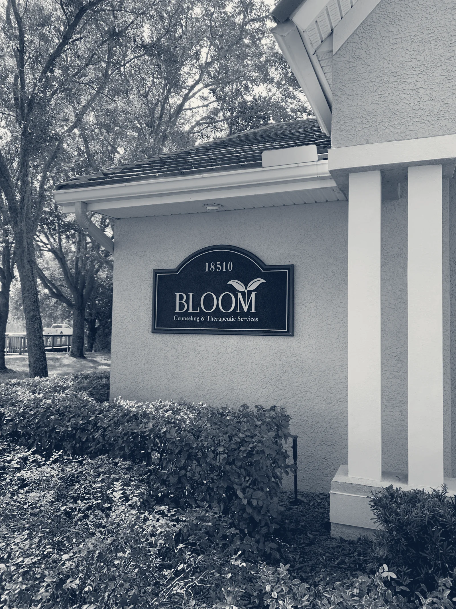 Bloom Counseling and Therapeutic Services — Lutz, Florida