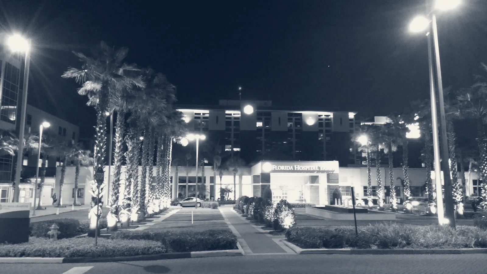 AdventHealth Tampa ER — Tampa, Florida