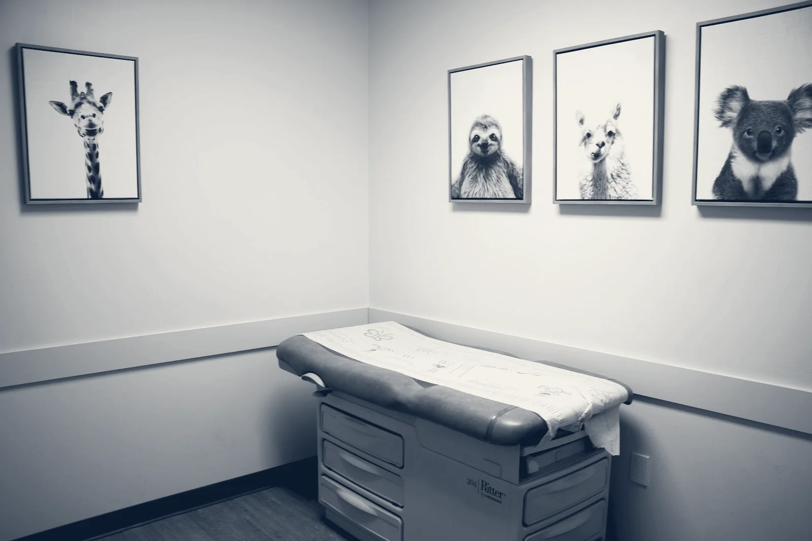 Pediatric Health Care Alliance- (PHCA) North Carrollwood — Tampa, Florida