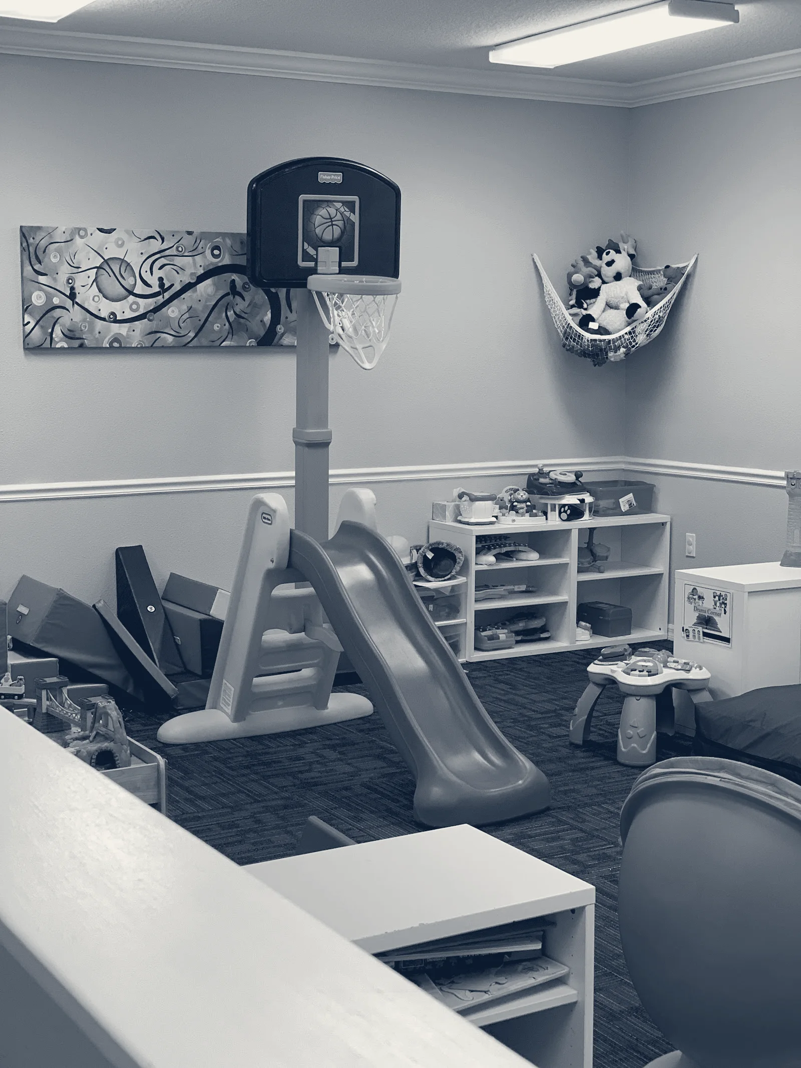 BCOTB — Wesley Chapel, Florida