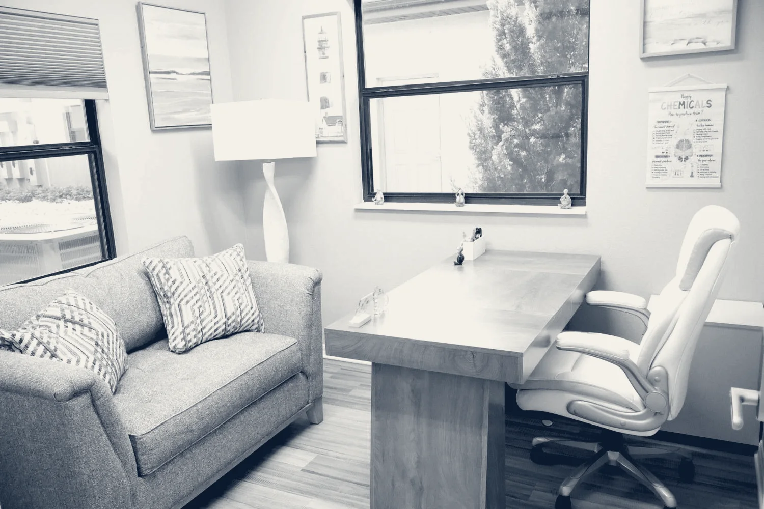 Lighthouse MindCare — Wesley Chapel, Florida