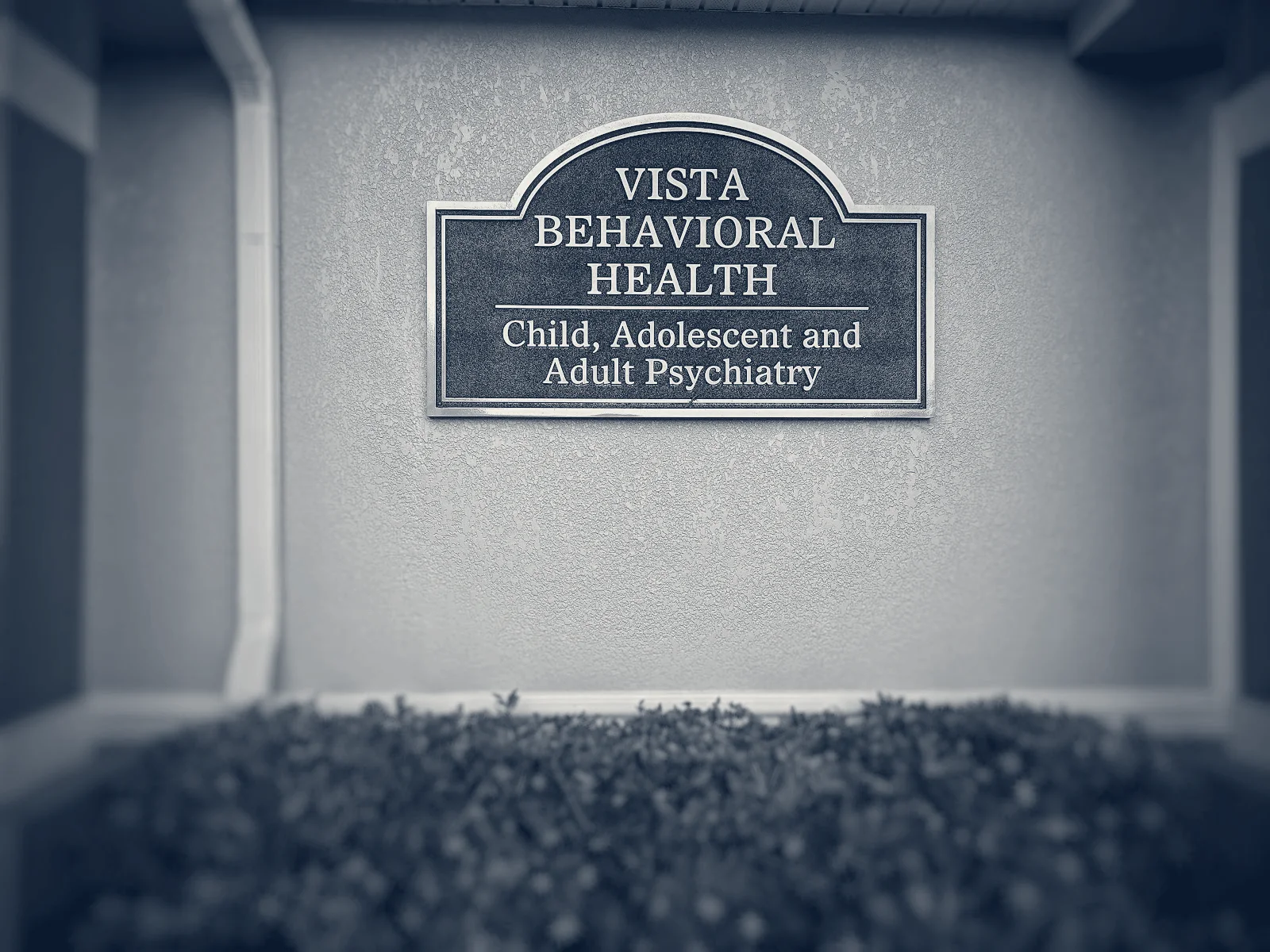 Vista Behavioral Health, PLLC — Land O' Lakes, Florida