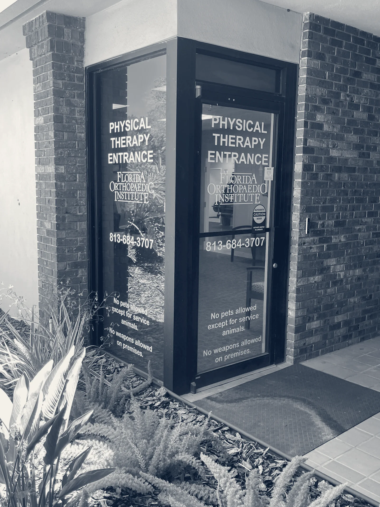 Florida Orthopaedic Institute — Brandon, Florida