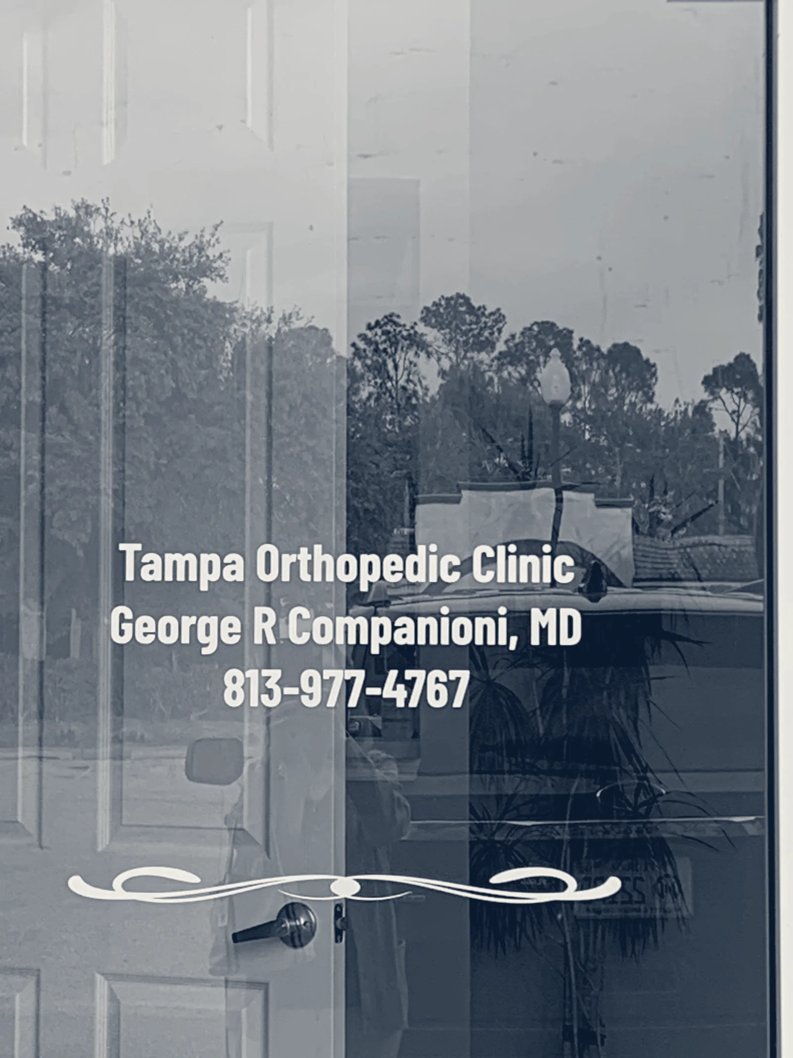 Tampa Orthopedic Clinic — Lutz, Florida