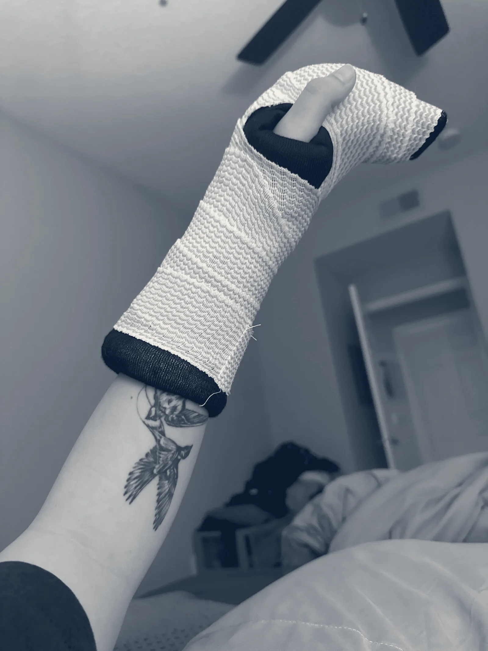 FOI Orthopaedic Urgent Care — Tampa, Florida