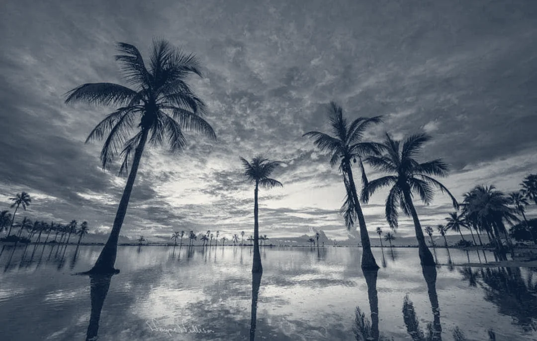 Creative Video Productions — West Palm Beach, Florida