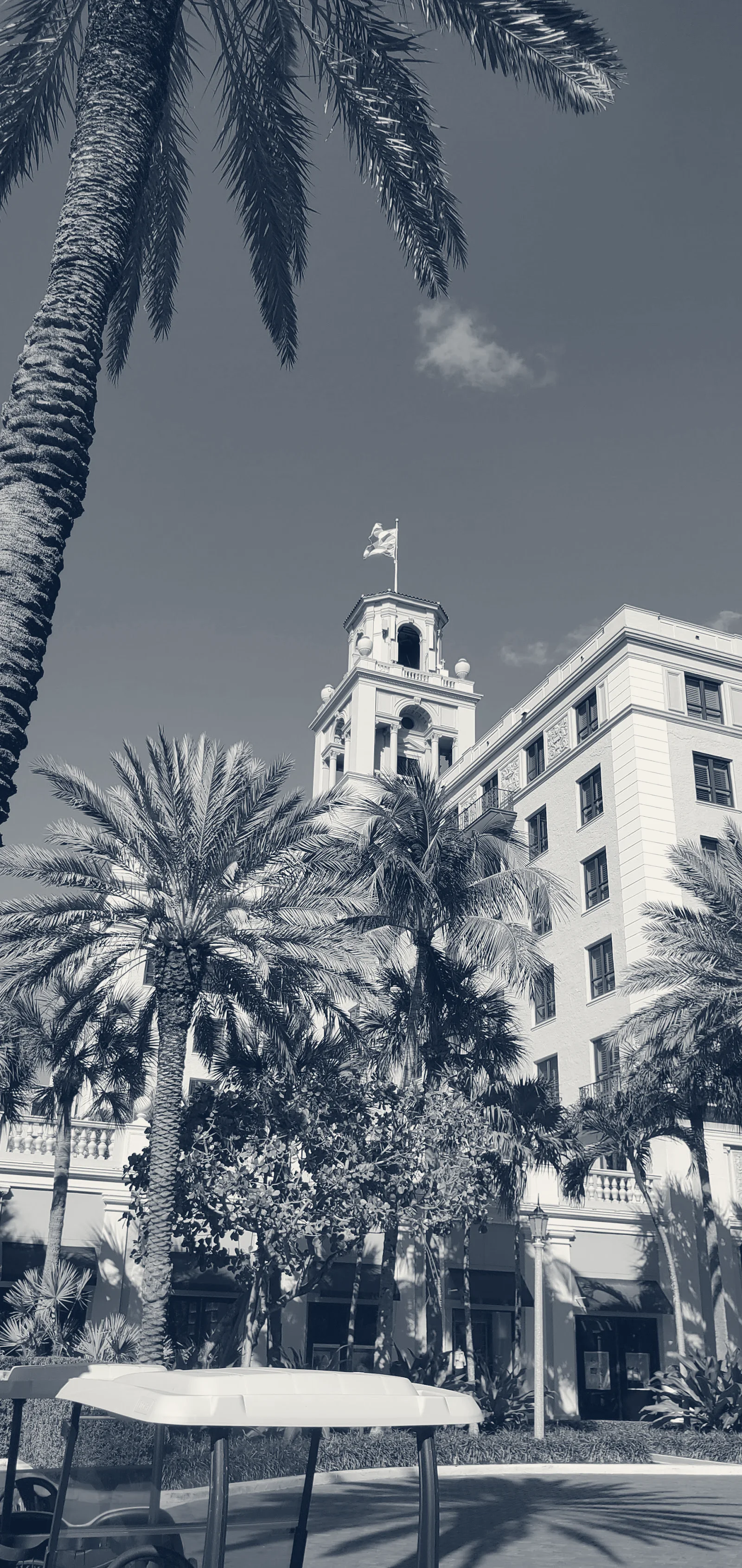 Junior's Entertainment Group, Inc. — Fort Lauderdale, Florida