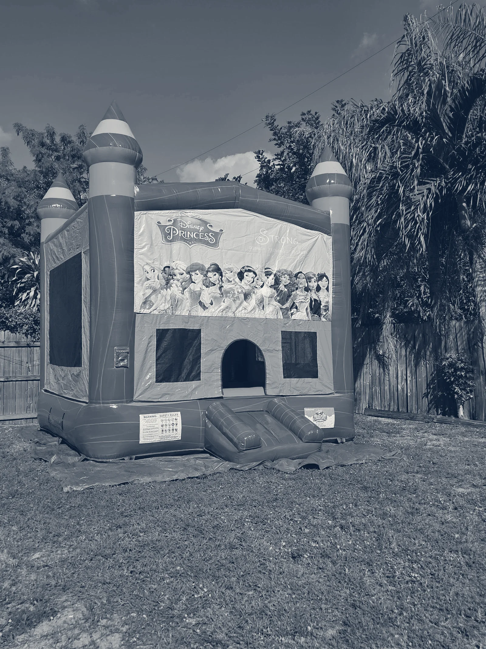 Sunny Day Party Rentals LLC — Greenacres, Florida