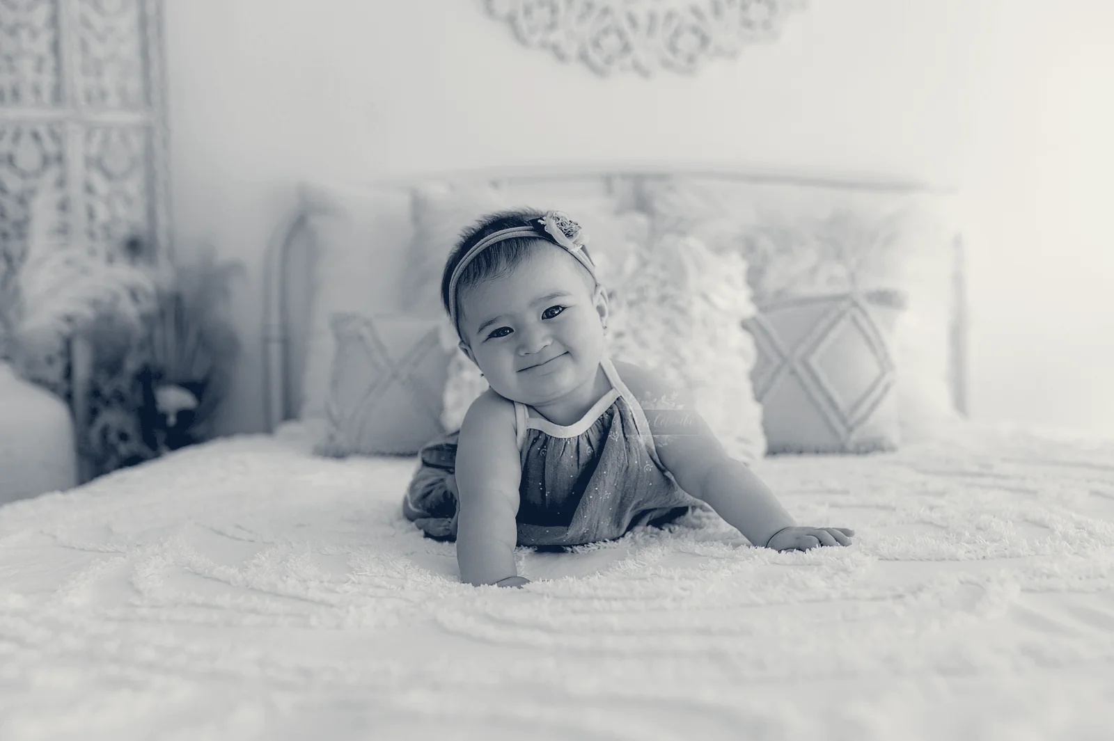 Andrea Colombi Photography — Boca Raton, Florida