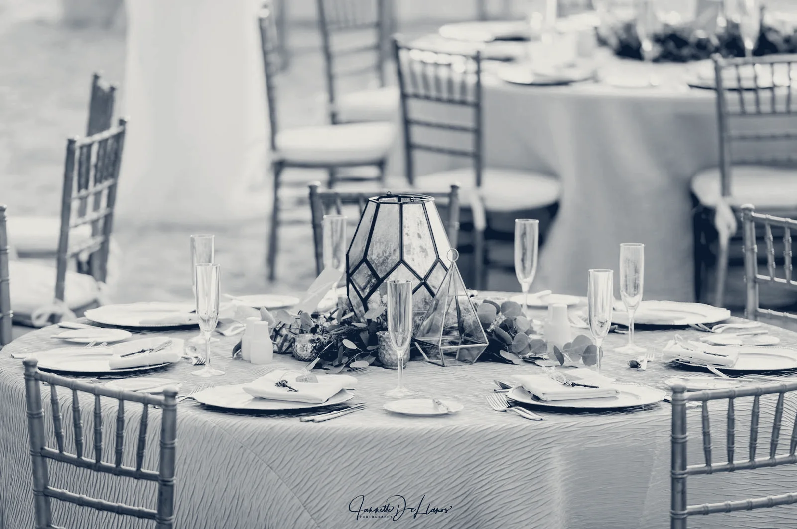 Above The Rest Events: Wedding & Event Planning + Design — Jupiter, Florida