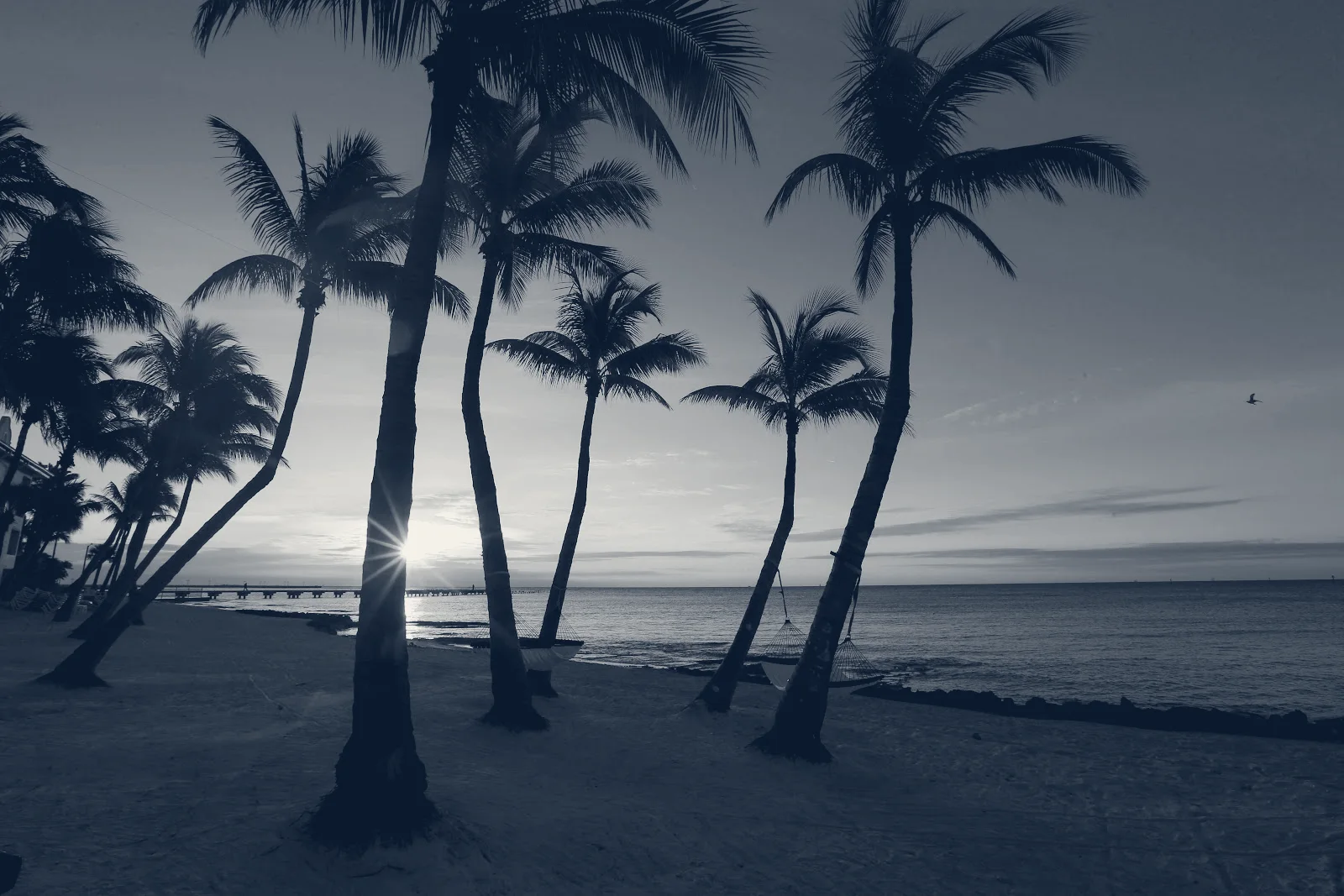 Boca Raton Photography and Design — Boca Raton, Florida