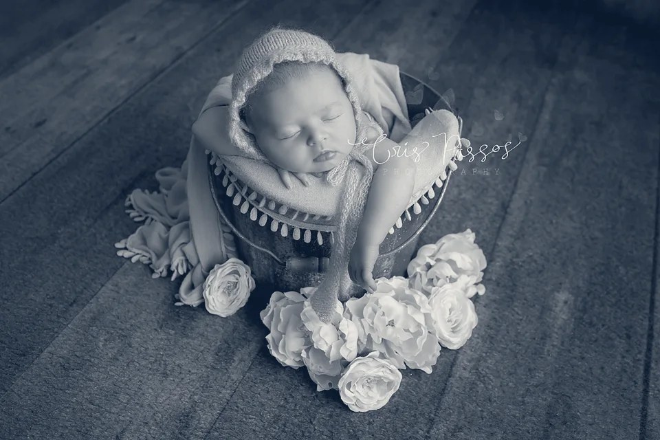 Cris Passos Photography — Boca Raton, Florida