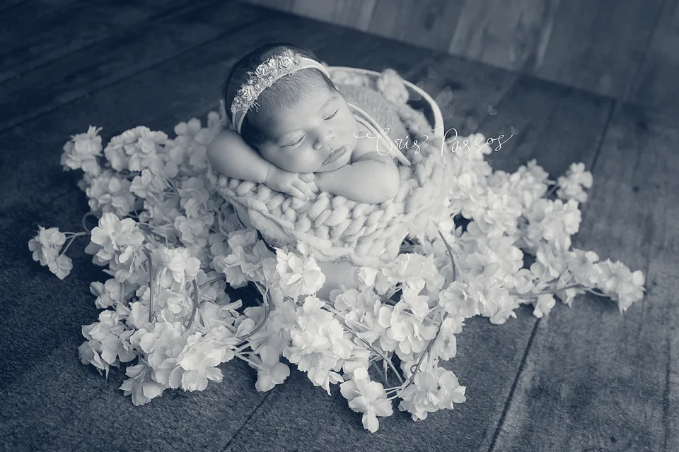 Cris Passos Photography — Boca Raton, Florida