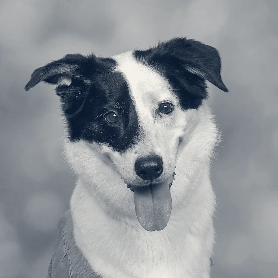 JCPenney Portraits — Coral Springs, Florida