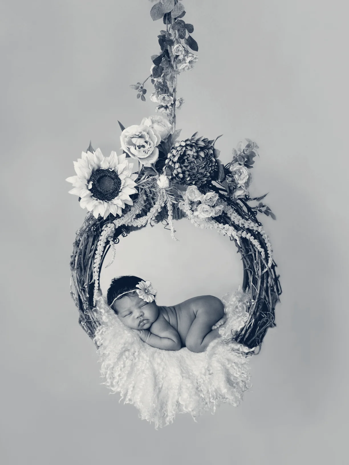 Warner-Prokos Photography — Boca Raton, Florida