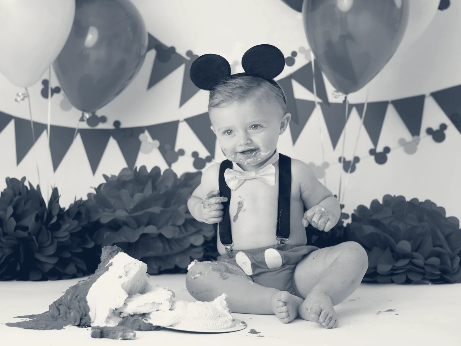 Warner-Prokos Photography — Boca Raton, Florida