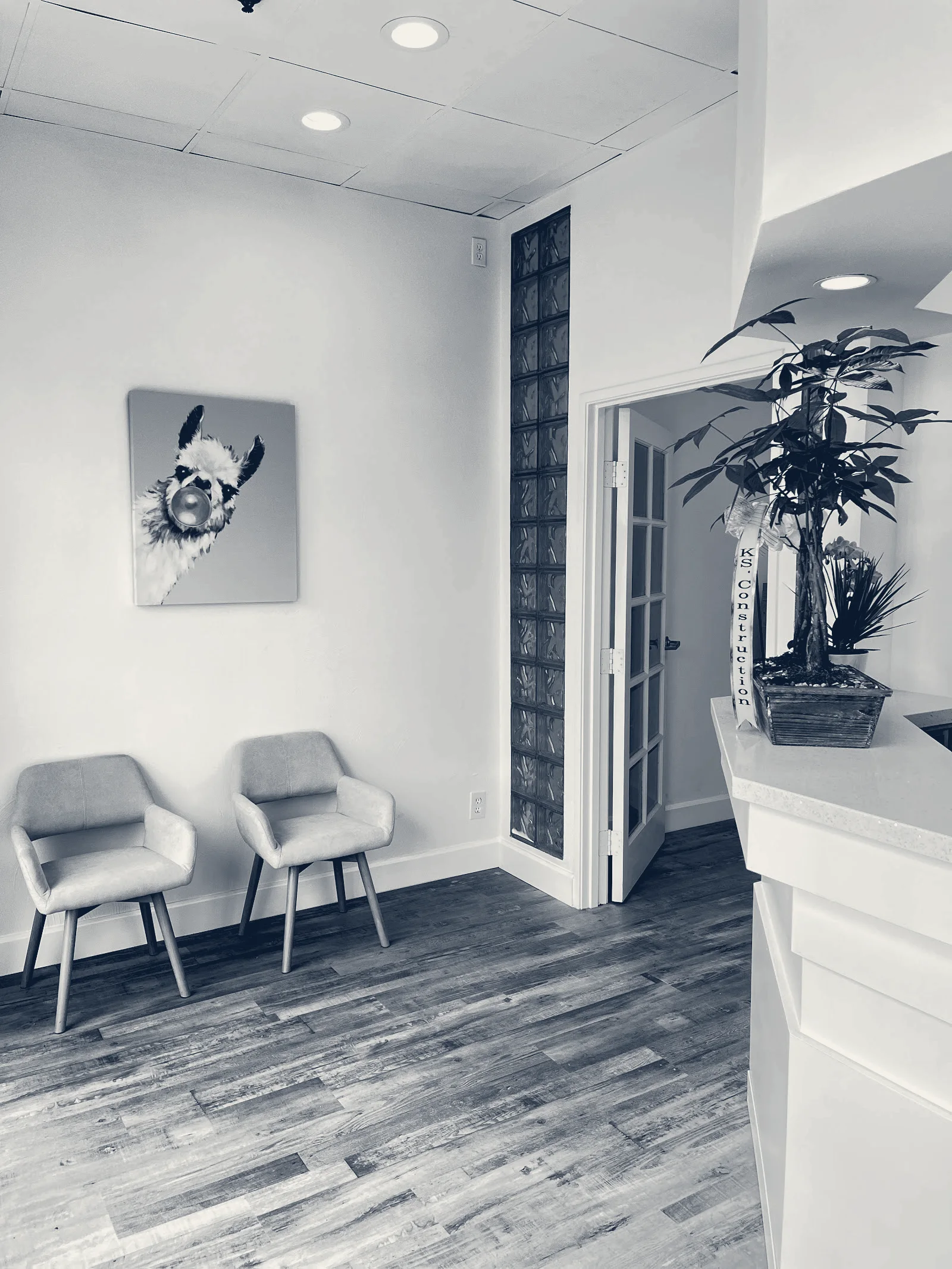 Dr. Youngmo Kang - Cypress Dental Implant Center — Cypress, California