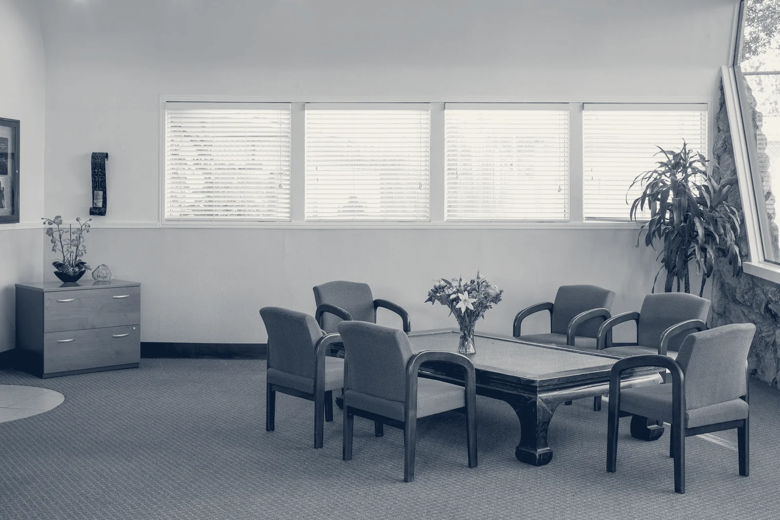 Olive Vista Behavioral Health Center — Pomona, California