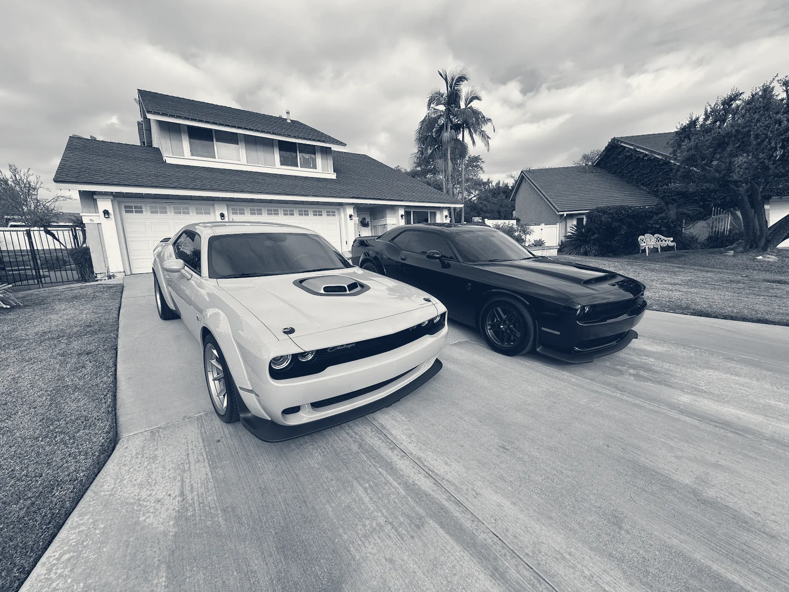 Riverside Performance Auto Tint — Riverside, California