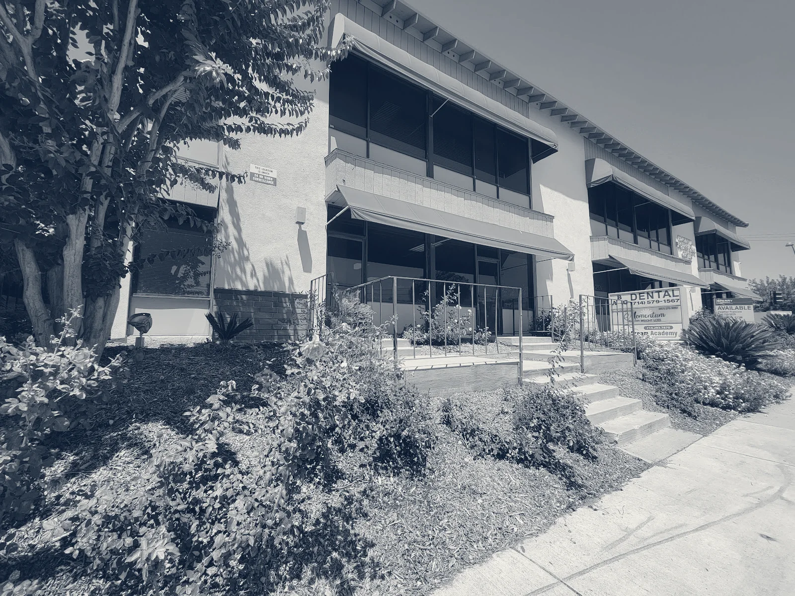 Momentum Health and Wellness Institute — Placentia, California