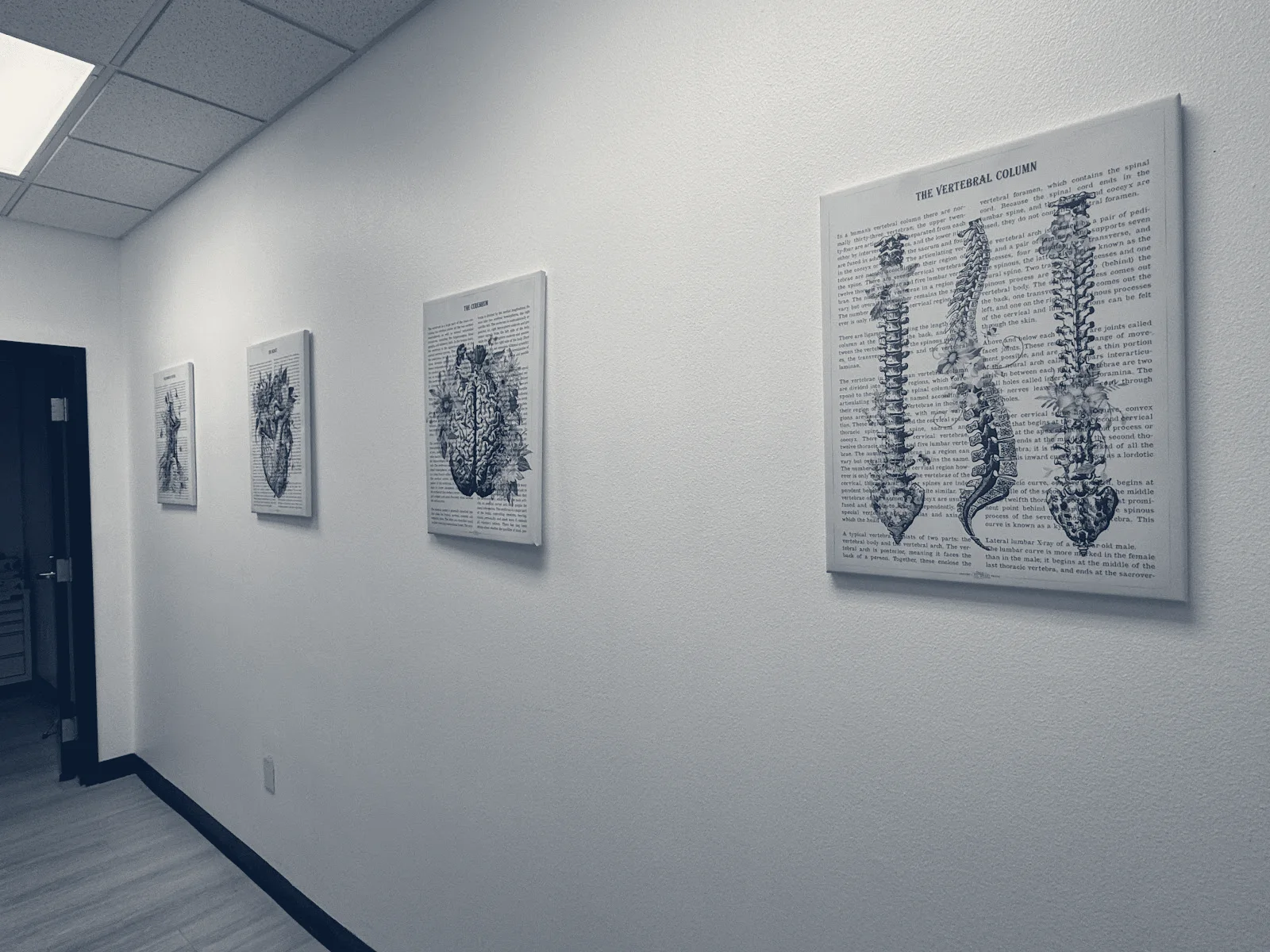 Viva Diagnostic Imaging — Las Vegas, Nevada