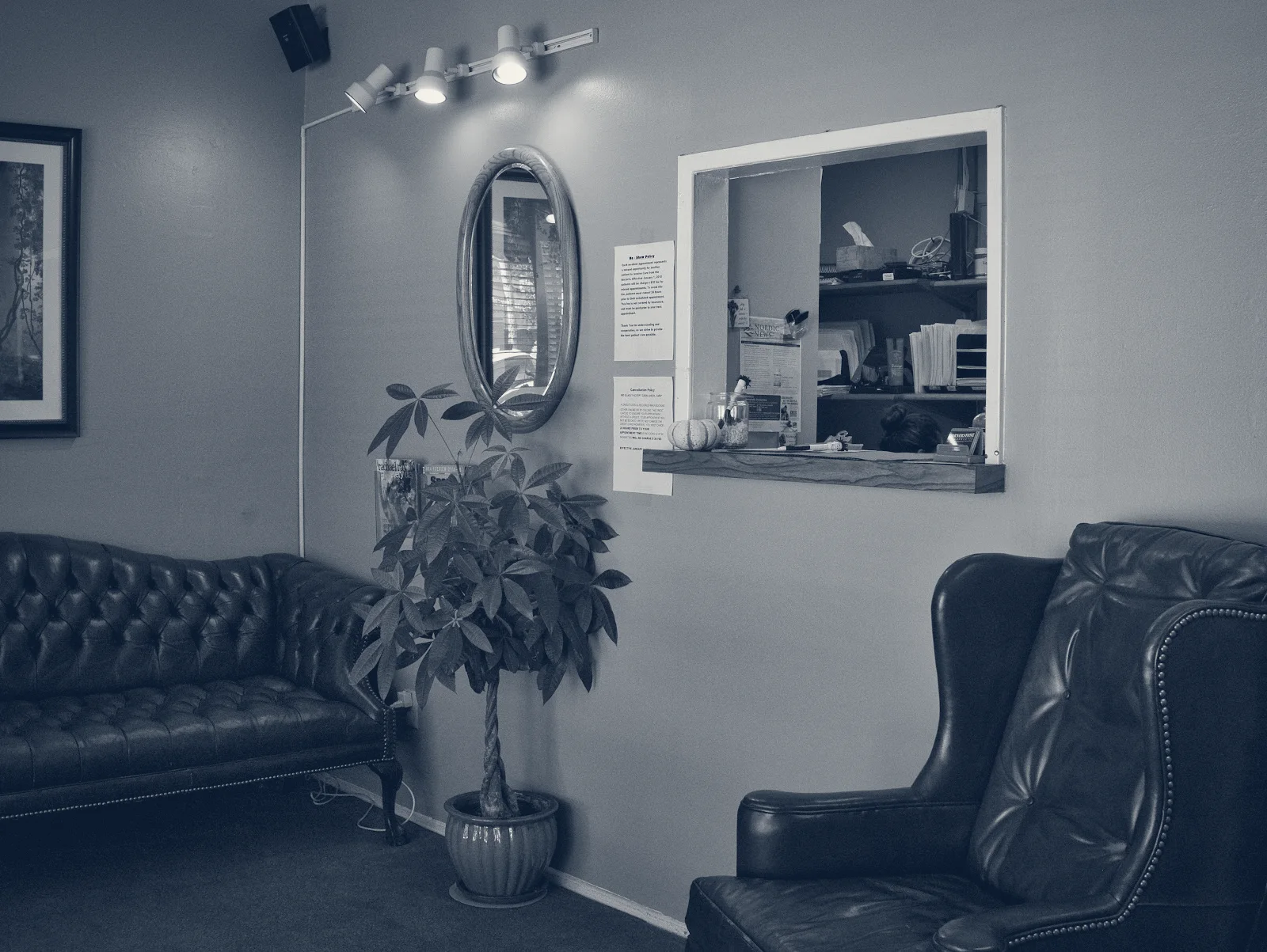 Lincoln Chiropractic — Anaheim, California