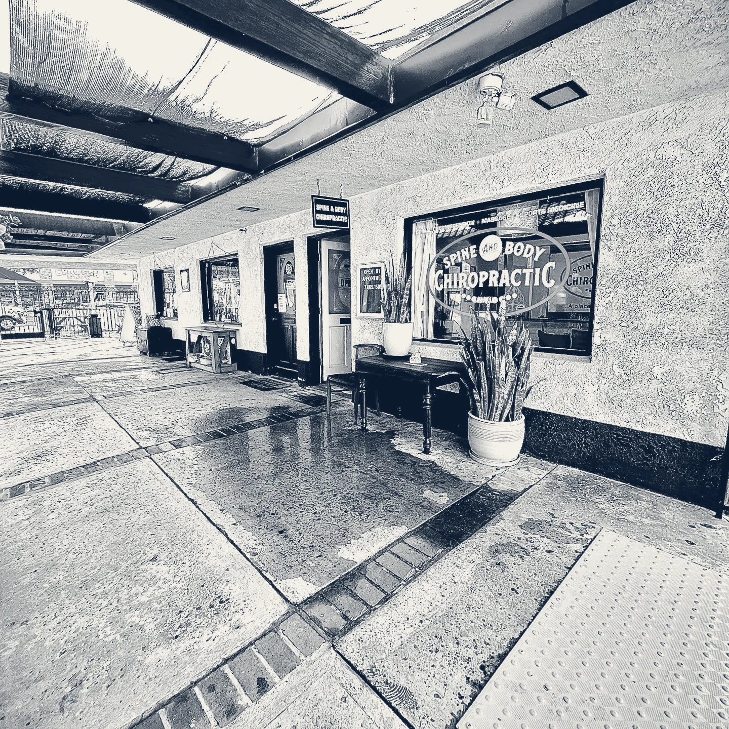Spine and Body Chiropractic — Fullerton, California