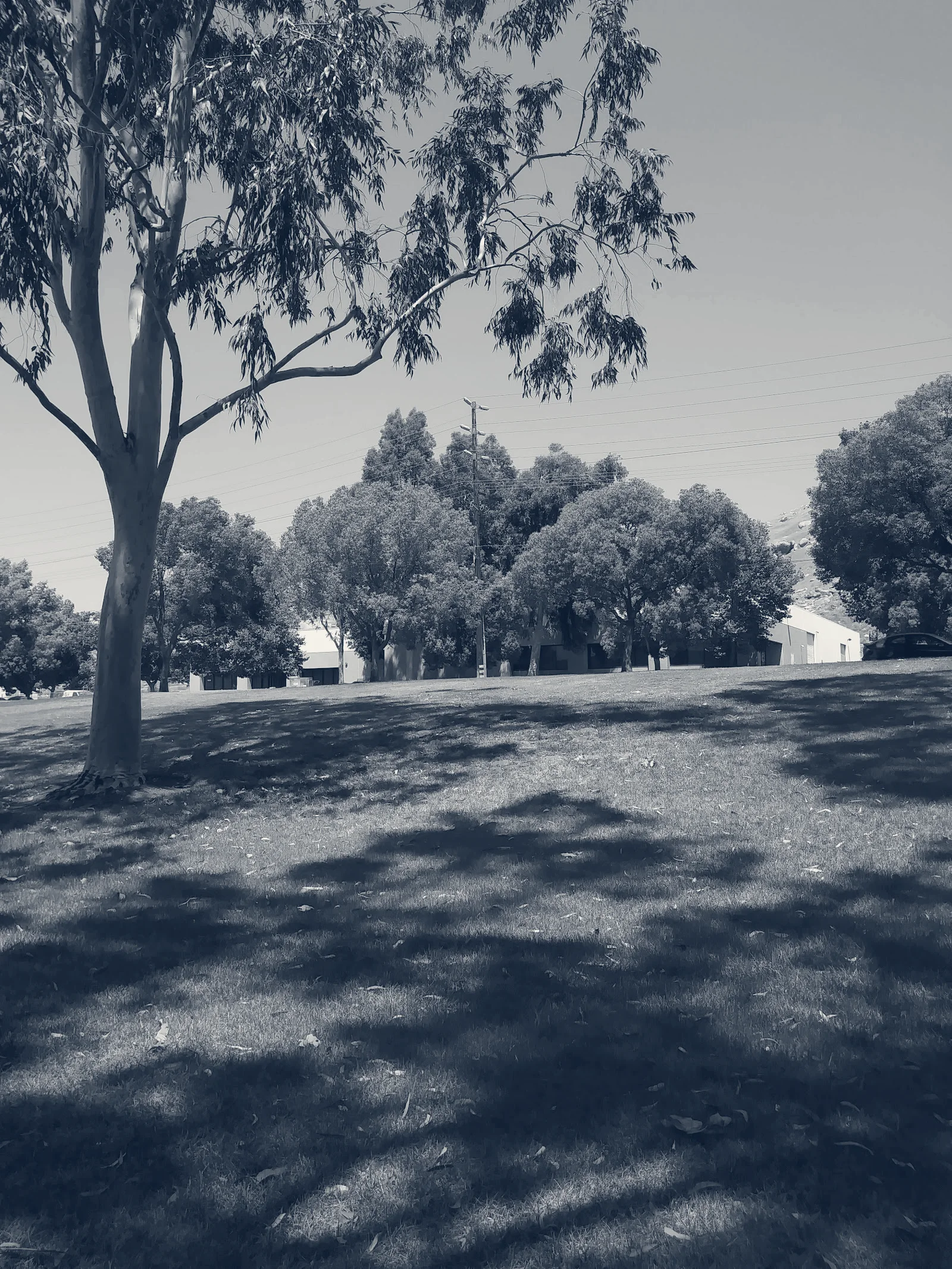 Riverside County Department of Mental Health — Riverside, California