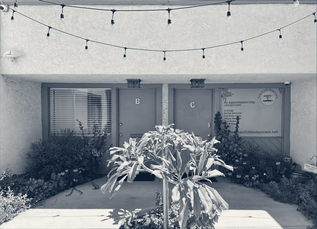 INNOVATE BEHAVIORAL HEALTH MEDICAL GROUP — Upland, California