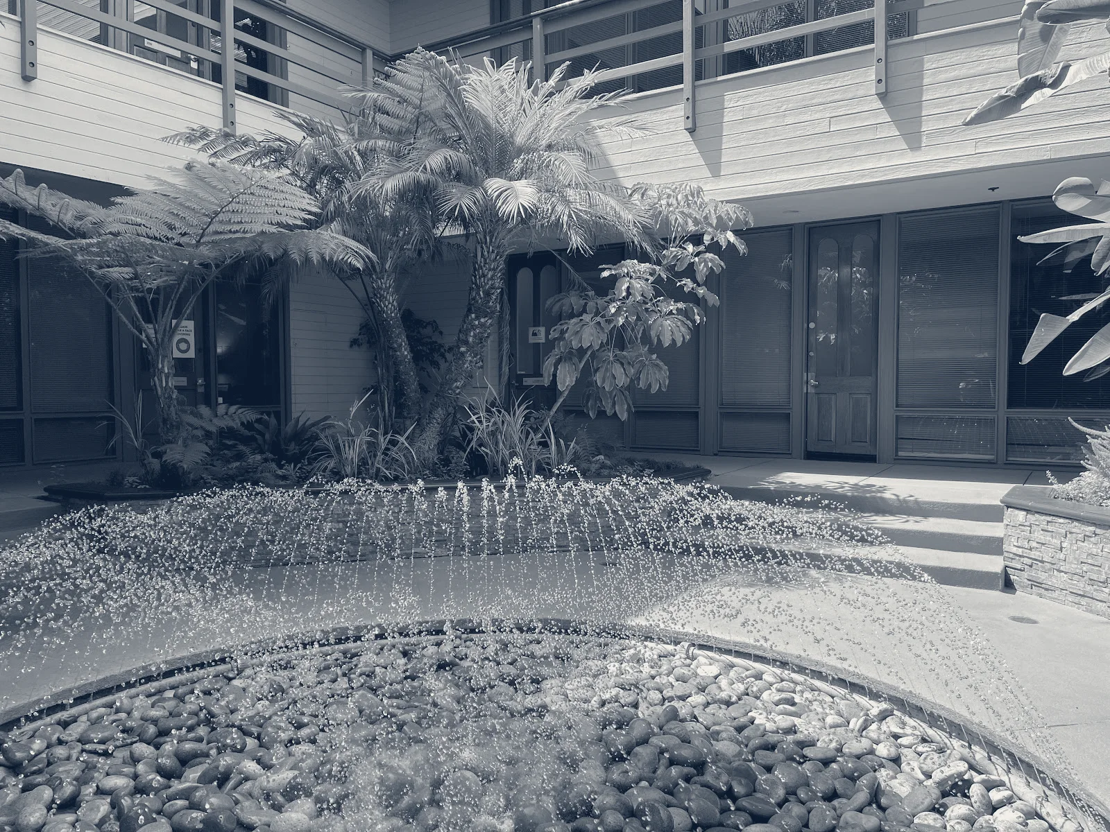 Newport Psychiatry & TMS Treatment Center — Newport Beach, California