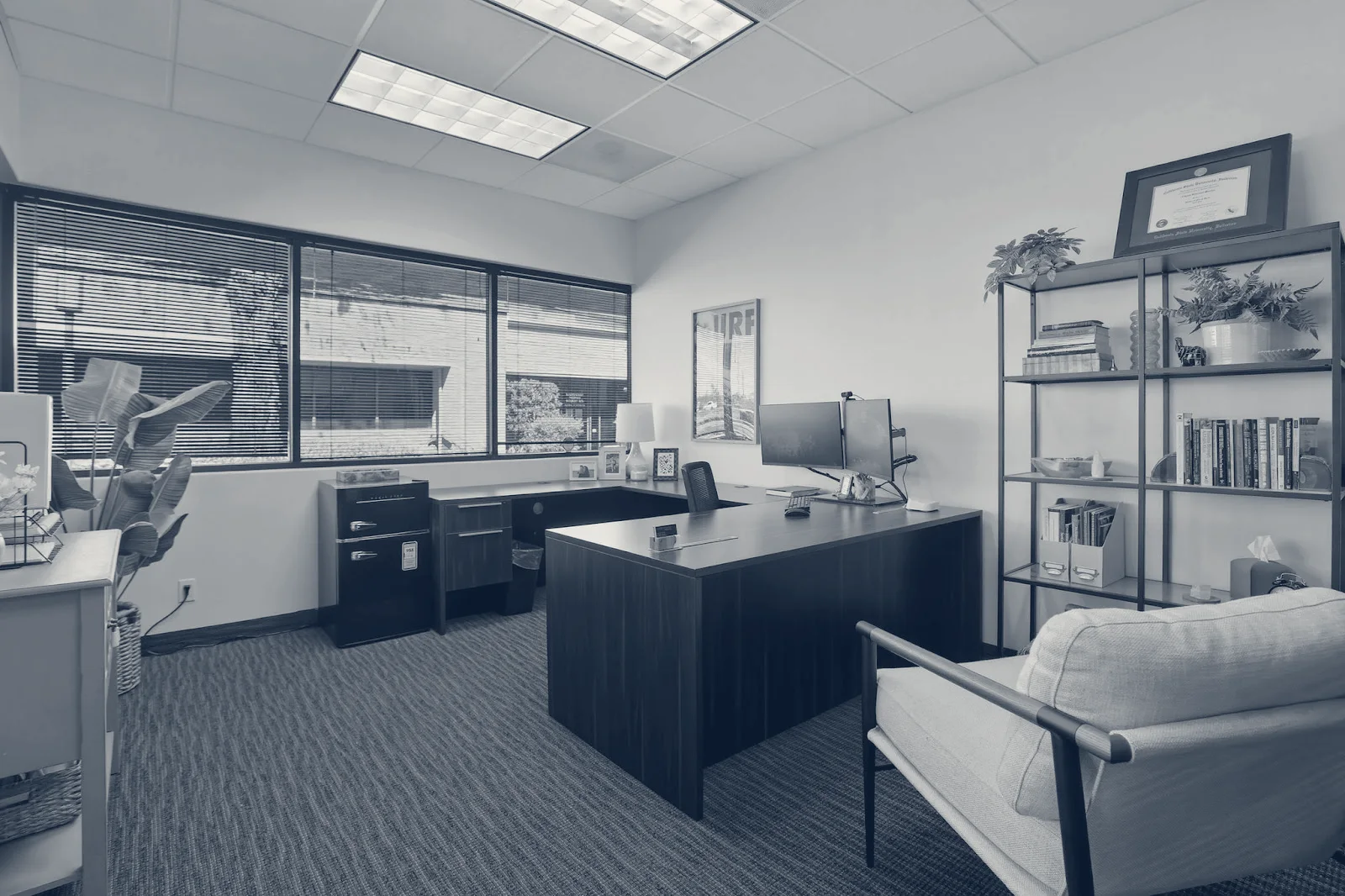 Wavecrest Behavioral Health — Santa Ana, California