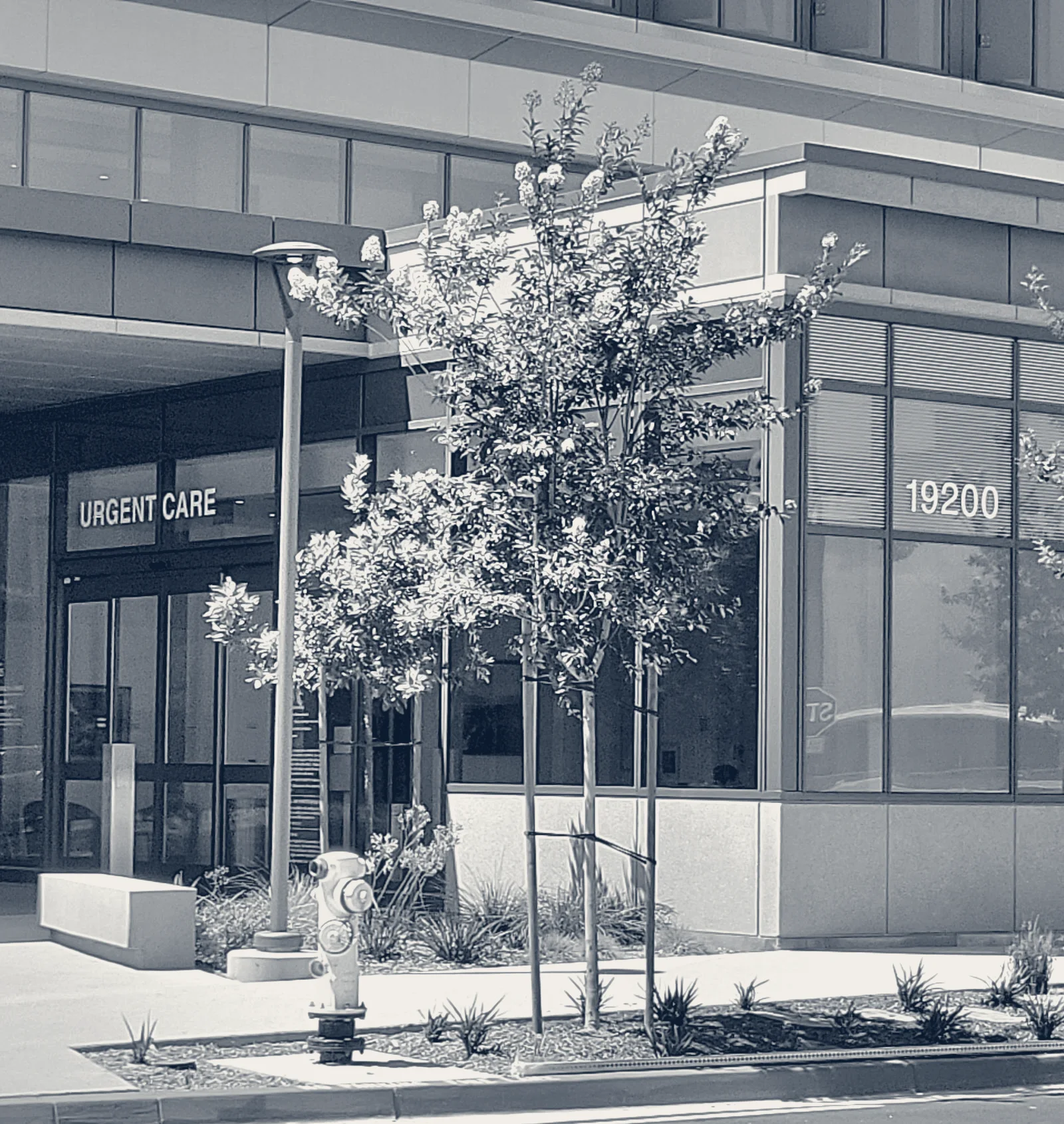 UCI Health — Urgent Care in Irvine — Irvine, California