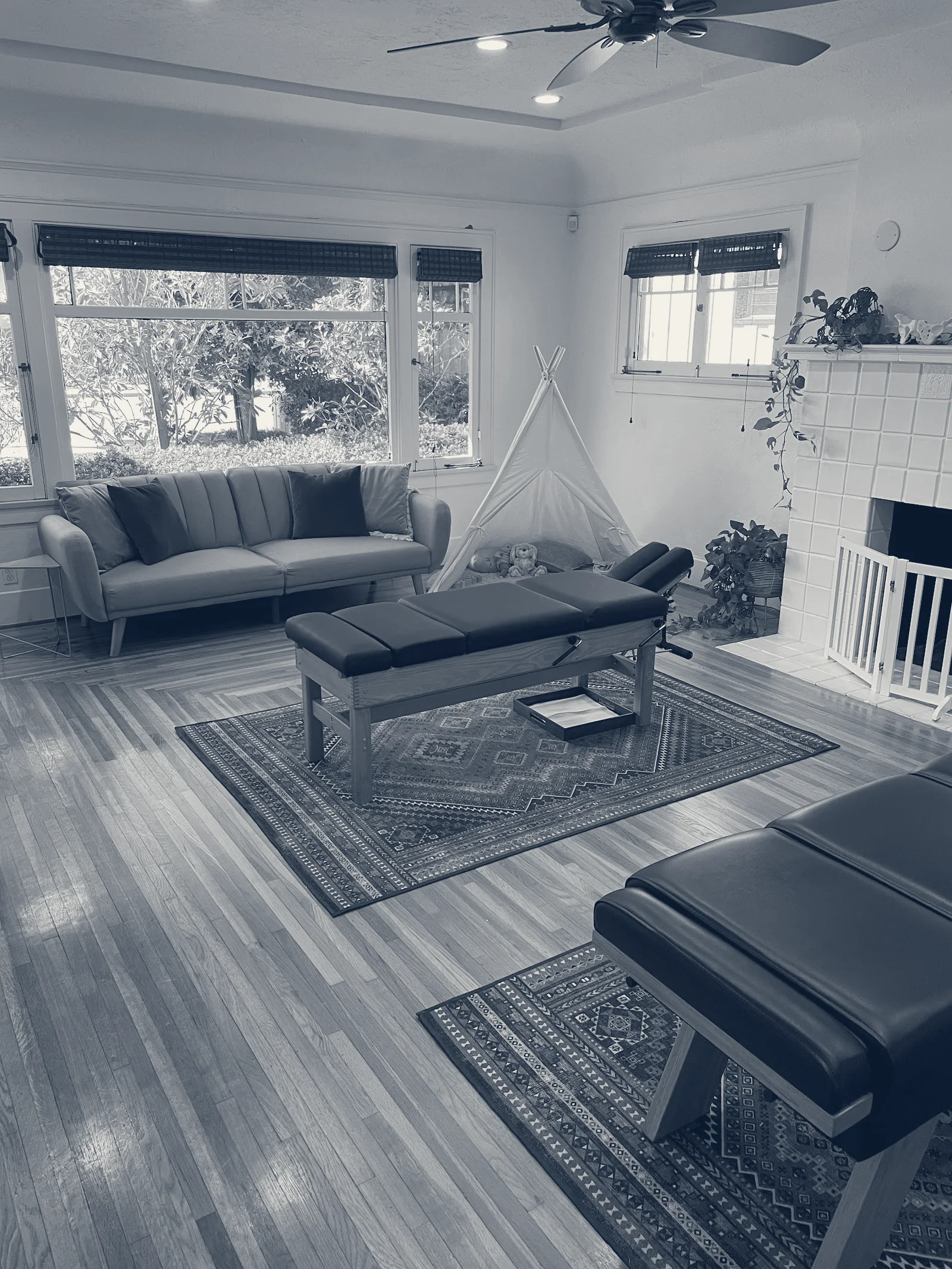 Verve Chiropractic — Orange, California